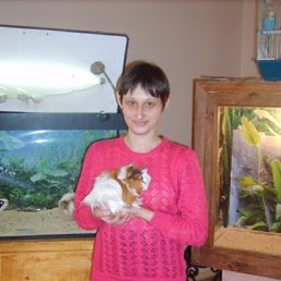 ��������, ���������, 44 ����