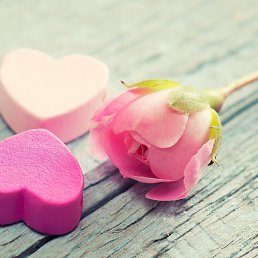 ���������, ������, 28 ���