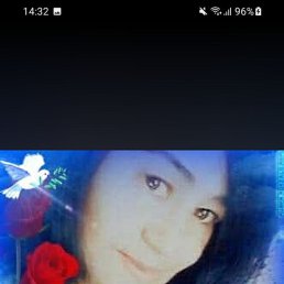���� ��� �����, ������, 48 ��� - ��������� 20 ���� 2026