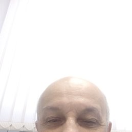 , 65, 