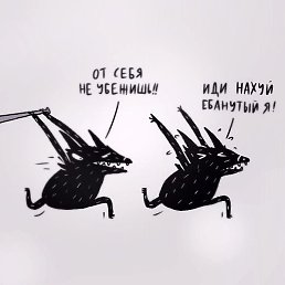 ��������, ���������, 37 ���