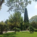 ���� �����, �����-���������, 30 ��� - ��������� 21 ������ 2023