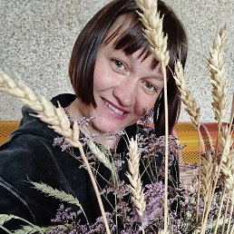 , 41 , 