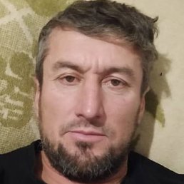 ����, �����������, 41 ���