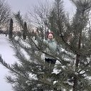 ���� ���, ����, 76 ��� - ��������� 26 ������ 2024