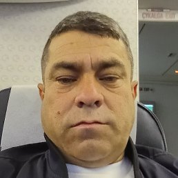 ����, �������, 48 ���