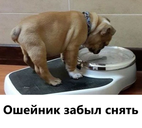 Alex - 17  2025  03:43