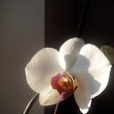 ���� �����, ��������, 47 ��� - ��������� 21 �������� 2024 � ������ ���� ����������