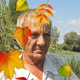 ������, ������, 59 ���