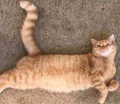 ������ ����� � ��������� �����