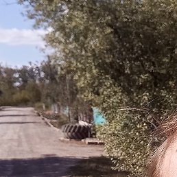 �������, �����-���������, 34 ����