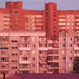 ��������, �����������