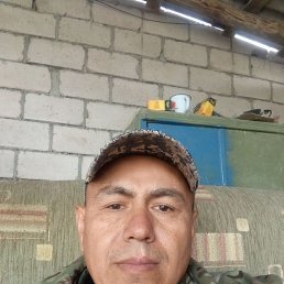 , 41, 