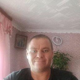  , , 41  -  7  2025