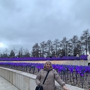 �����, 48 ���, �������-����������