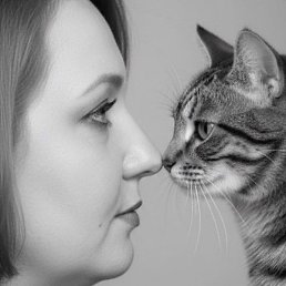 ������, ������ ��������, 48 ���