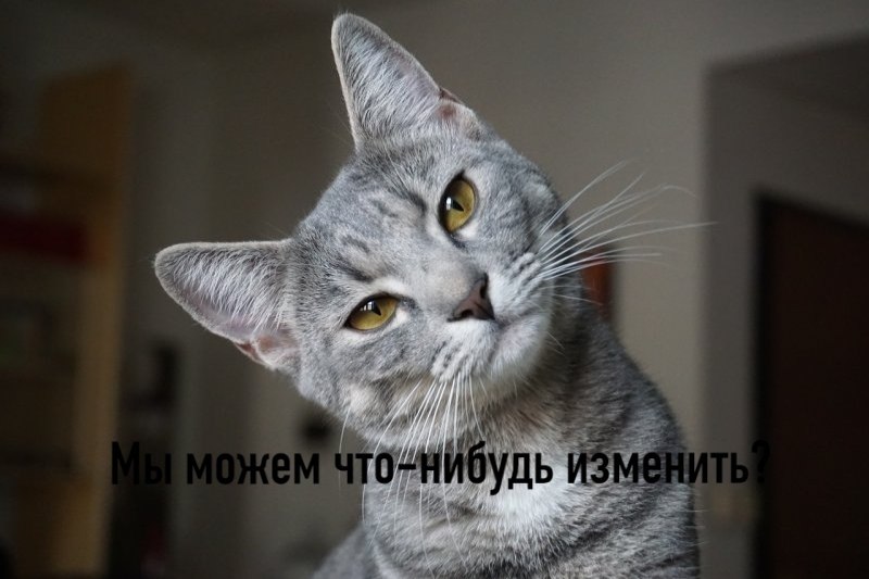 ��� ���� � ����� �� �� - 17 ��� 2026 � 16:25