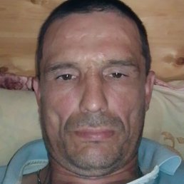 ������ �������, ������, 44 ����