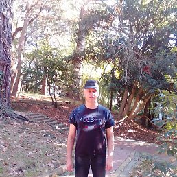 ������, ���������, 51 ���