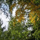 ���� ������, ������������, 68 ��� - ��������� 4 ������� 2024 � ������ ���� ����������