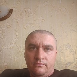 , 37, 