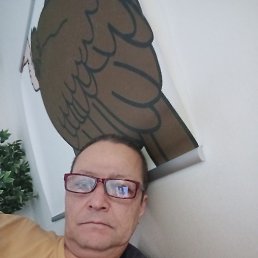 ���� ��� �����, �����������, 55 ��� - ��������� 12 ����� 2024