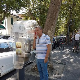 ��������, ���������