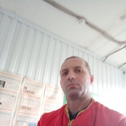 �����,, 50 ���, ������