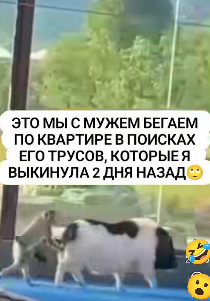  - 20  2025  04:33