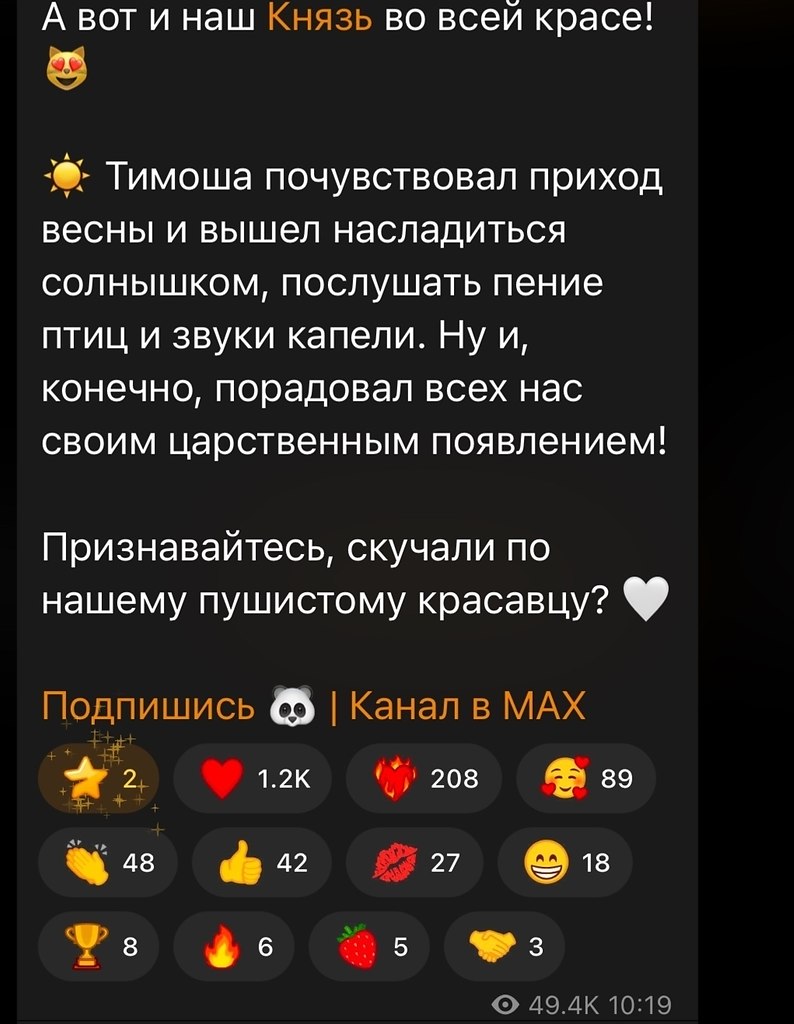 ����� ������� �� ����������� ����� �� ������ �������� �������� ��� ���������� �������. ������ ... - 3