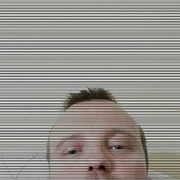 , 37, 
