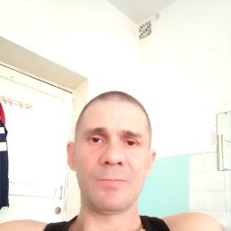  , 41 , 