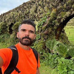 ���� ������, ����, 41 ��� - ��������� 10 ����� 2026