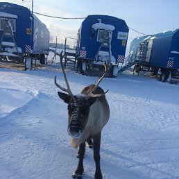 ���� ��������, ���������, 55 ��� - ��������� 24 ������� 2023