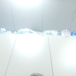 �����, ������, 49 ���