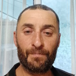 �����, ���������, 41 ���