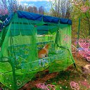  ,   -  23  2024    . -. 