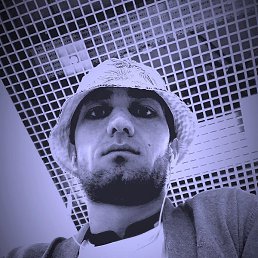 ����, �������, 33 ����