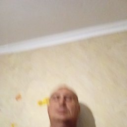 , 44, 