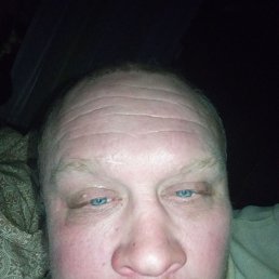 ����, 46 ���, ������������