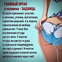 ���� ����, ������ ��������, 55 ��� - ��������� 19 ������� 2025 � ������ �������