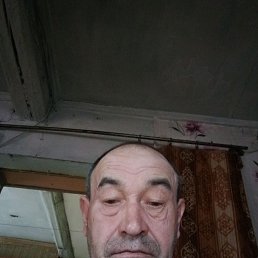 , 53 , 