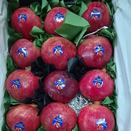 ���� ����������, �������, 22 ���� - ��������� 15 ������� 2023