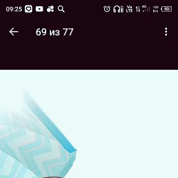 ������ �������, 46 ���, ������