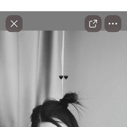 �������� �������, �����������, 20 ���