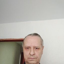 , 52, 