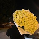 ���� C�����, ������, 28 ��� - ��������� 14 ��� 2026