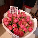 ���� ���� ���������, ������, 52 ���� - ��������� 6 ����� 2024 � ������ ���� ����������