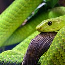  , -, 30  -  15  2025    