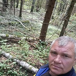 , 46, 